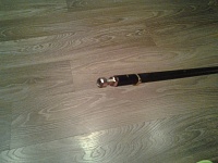 �� (27���) �� ����������-1397241316891.jpg