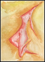 ����� ������� � ��������-kolida.jpg