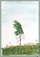 ����� ������� � ��������-picters-010.jpg