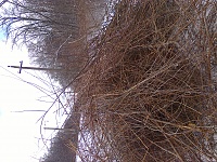 � ���������� ???-foto0539.jpg