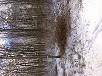 � ���������� ???-foto0554.jpg