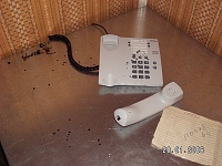 ������ �� ����-02 � ������������ ��������-myshi-i-telefon.jpg