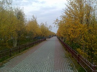 ��� - ����������-12092012396.jpg