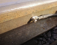 ���������� �������� ���������� ������������-tros-prikrechen-k-shtepselyu.jpg