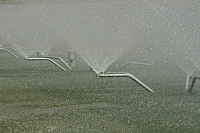 ��� ���, � ���� �������� ))-img_1618.jpg