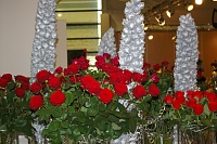 � ����������, �������!-imgp5311.jpg