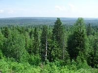 ����� ������ ���� ��������� ���������� ����?-sahara1.jpg