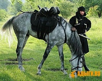 ����� ��� �� ����-1295096660_thakrd67ndqvfis.jpeg