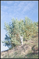 ���-���� ������-_mg_9522.jpg