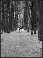 ���-���� ������-dscn0695.jpg