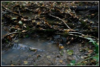 ���-���� ������-_mg_8805.jpg