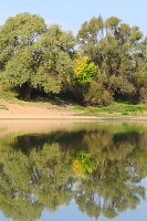 ���-���� ������-img_6584_1.jpg