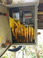 ��� �������� � �����?-0_1f2310_44542d47_orig.jpg