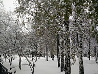 ������ ������� ������ �� ��������-img_20161028_130208.jpg