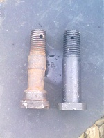 ��������� ���������� ��������-izobrazhenie-365.jpg