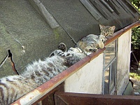 ��������� ��� ��������� �������!-44619w.jpg