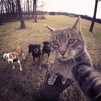 ��������� ��� ��������� �������!-selfi.jpg