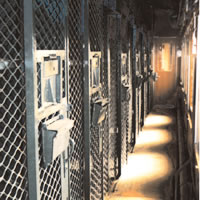 ����� ��� ��������� ��������������� ������ 61-4500