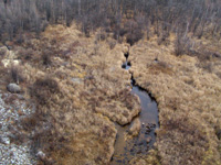 �. ������ (����� �����)