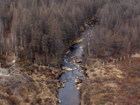 �. ������ �����