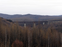 ���� ����� �. ������ �����