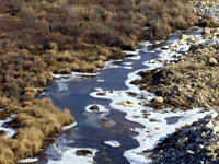 ��������� ����������