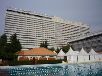 ��������-2008 (����)