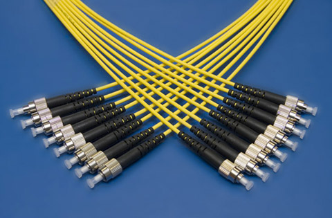 Several patch cables and loose tube cables on display