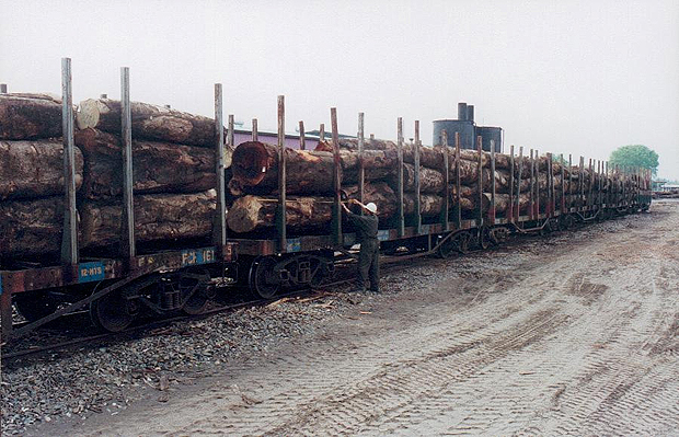Log rail transportation