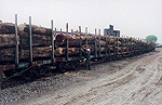 Log rail transportation