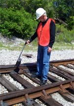 Rain-resistant switchplate lubricants