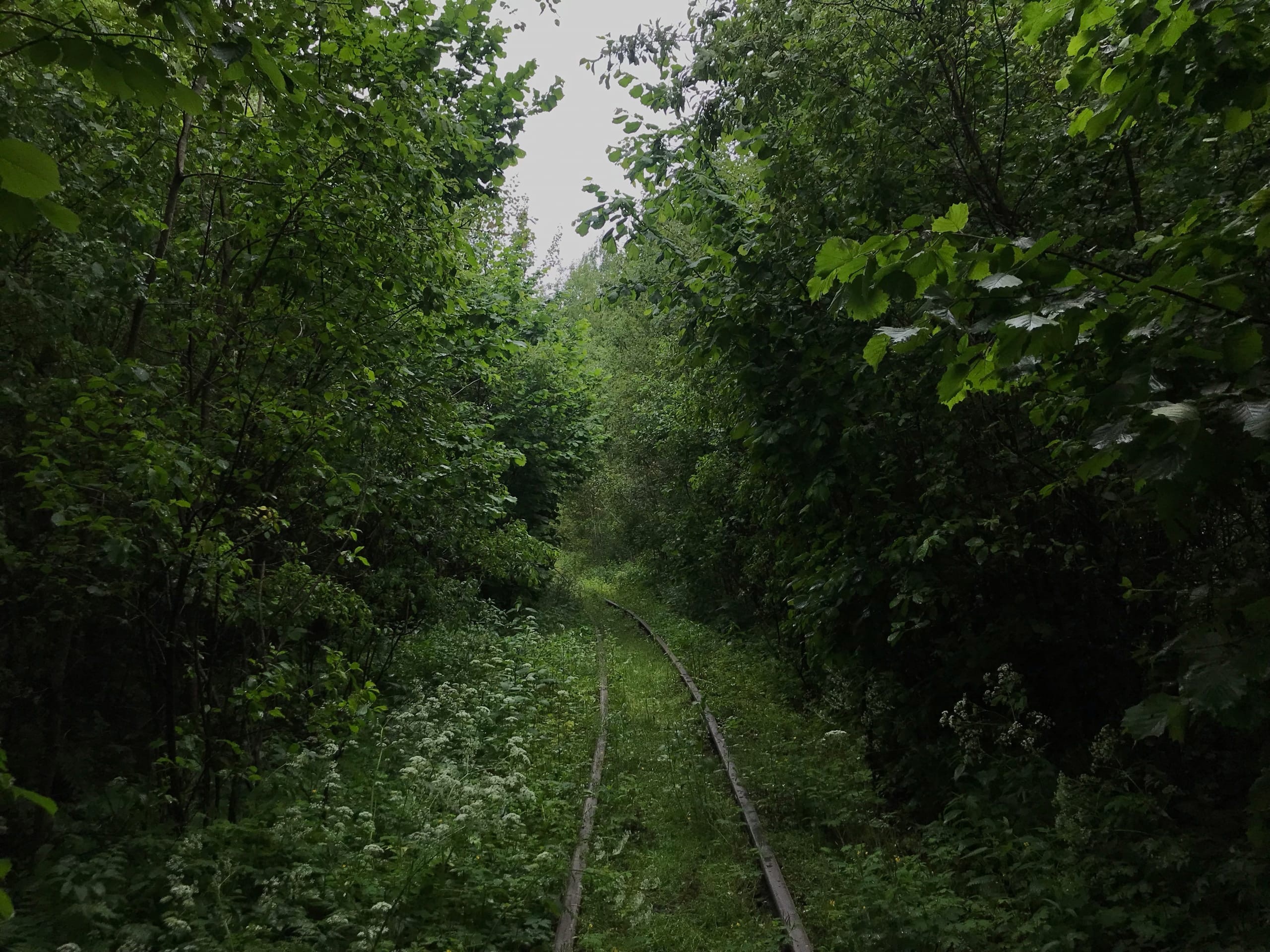 21.06.2022. УЖД торфопредприятия Березинское