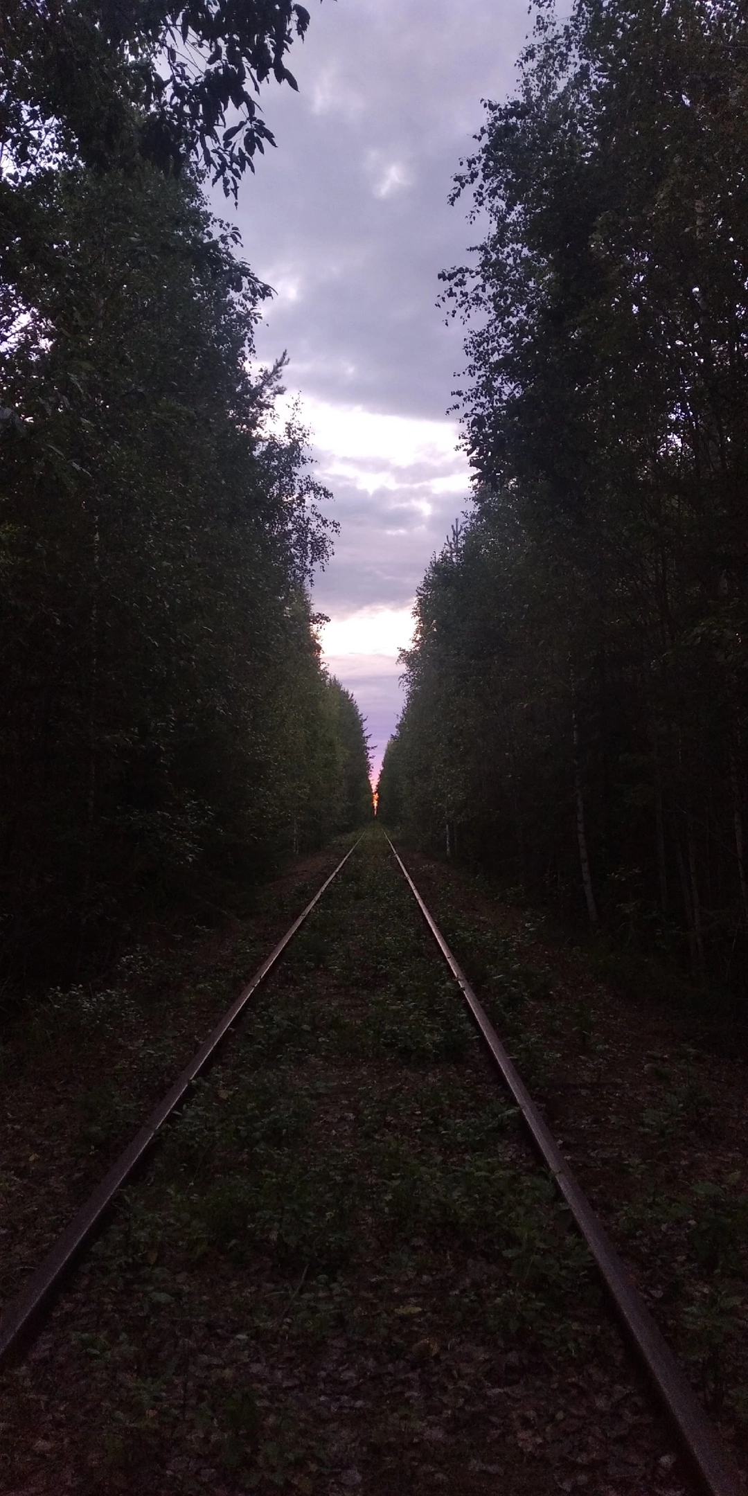 08.2023. Участок Икса - Мяндуха вид в сторону станции Мяндуха