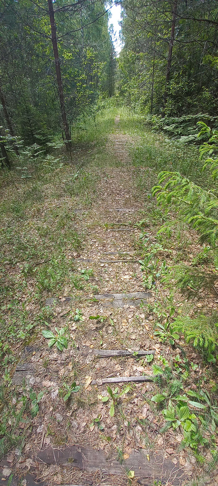 Узкоколейная железная дорога Купанского транспортного управления — фотографии, сделанные в 2023 году