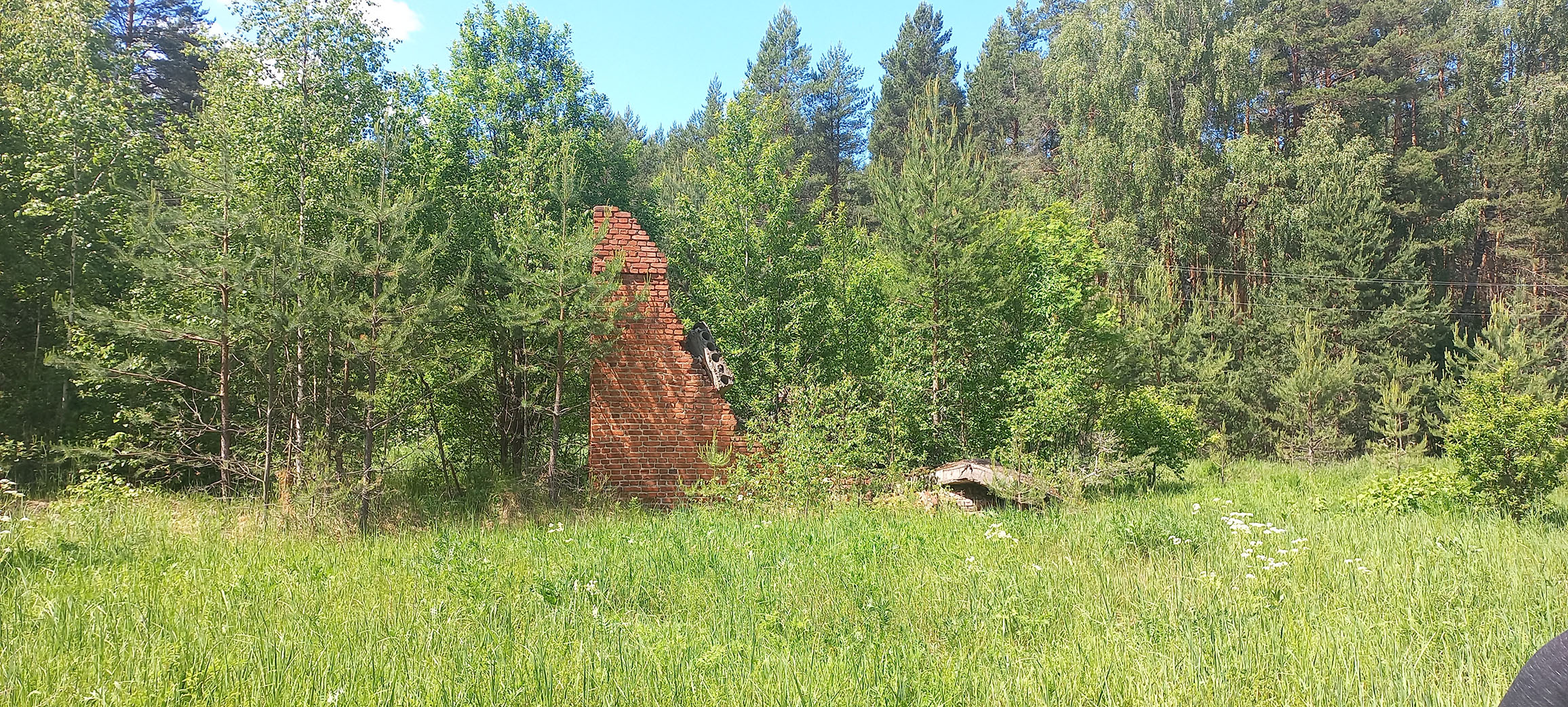 11.06.2023. Предположительно, остатки станции Вёкса (недалеко от реки Вёкса)
