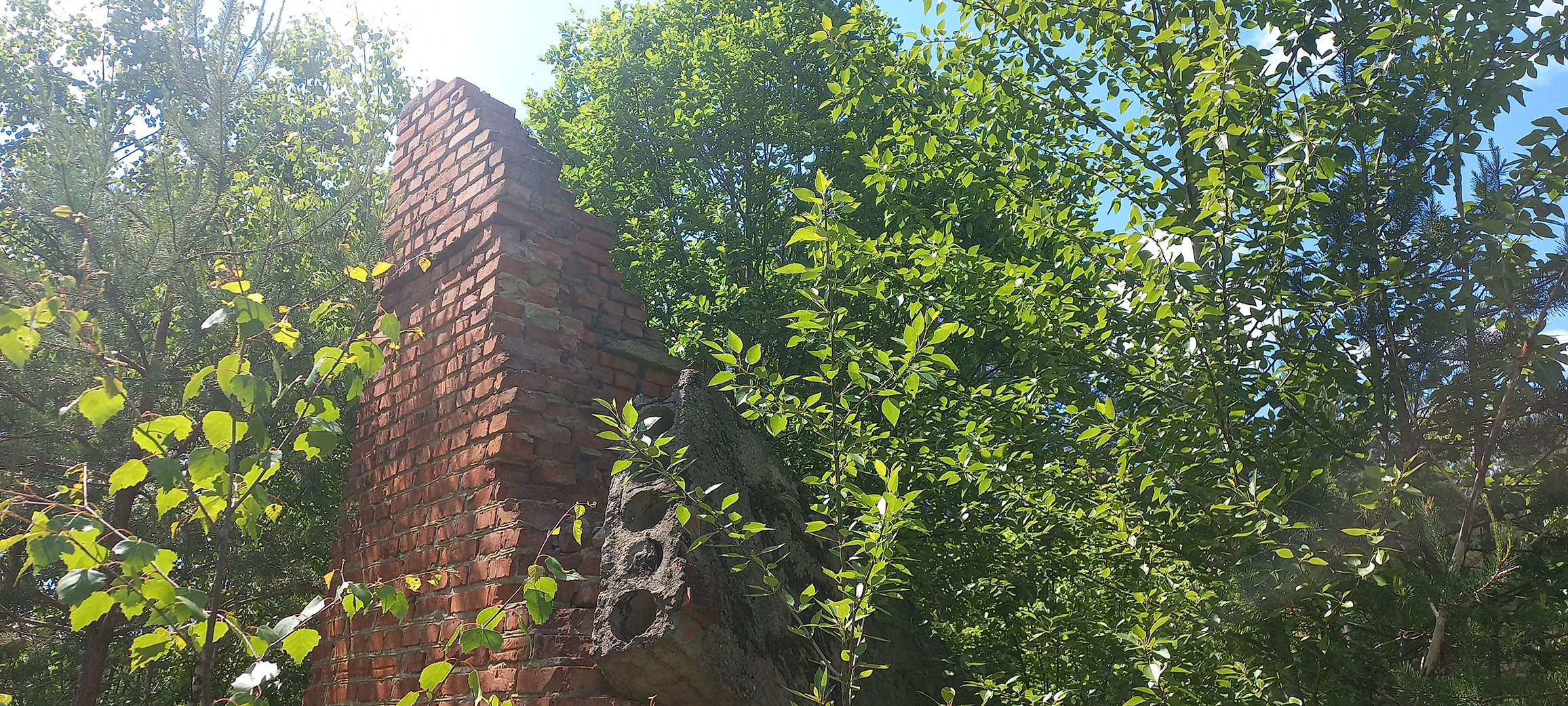 11.06.2023. Предположительно, остатки станции Вёкса (недалеко от реки Вёкса)