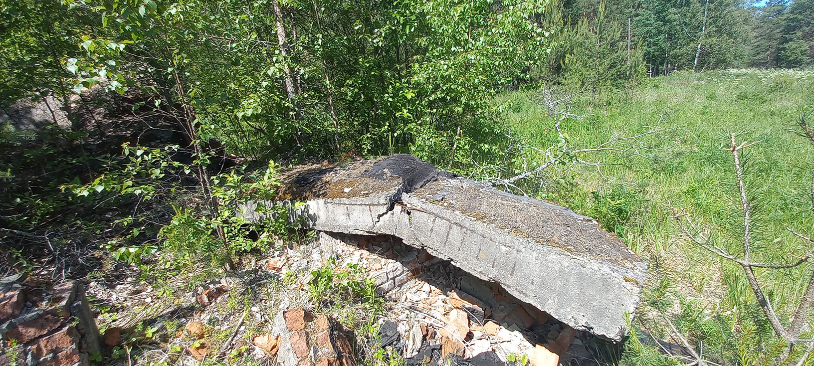 11.06.2023. Предположительно, остатки станции Вёкса (недалеко от реки Вёкса)