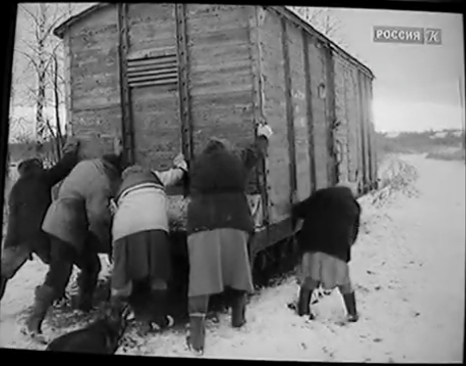 Узкоколейная железная дорога торфопредприятия «Назия» исторические фотографии