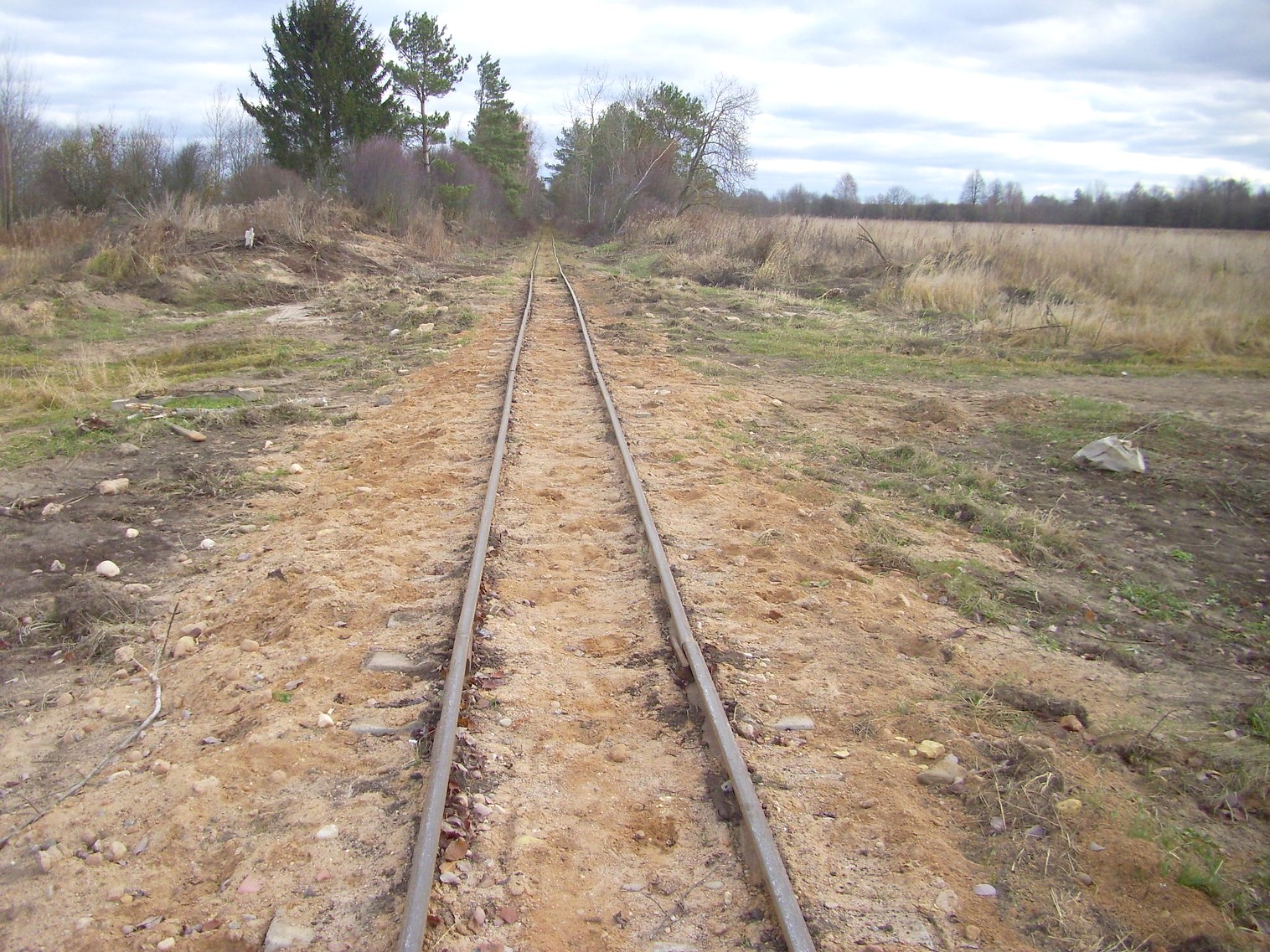 Узкоколейная  железная дорога торфобрикетного завода Березино —  фотографии, сделанные в 2011 году (часть 9)
