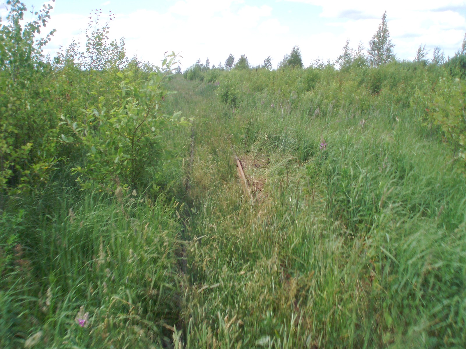 Узкоколейная железная дорога торфопредприятия «Полистовское-2»  — фотографии, сделанные в 2007 году (часть 9)