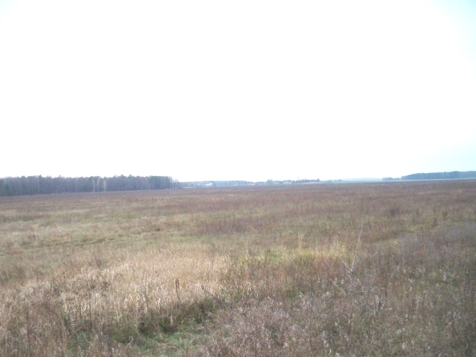 Узкоколейная железная дорога Хойникского торфопредприятия
  —  фотографии, сделанные в 2012 году (часть 5)