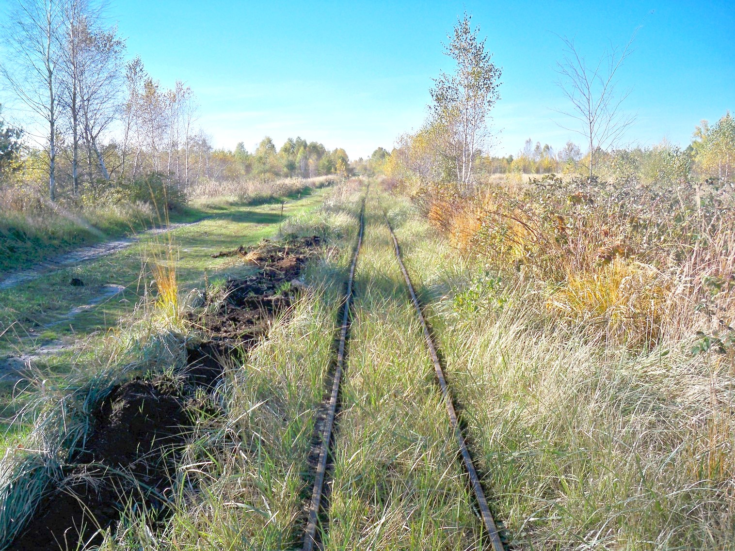 Узкоколейная железная дорога торфопредприятия «Глинка»  в Колодном 
  —  фотографии, сделанные в 2012 году (часть 5)