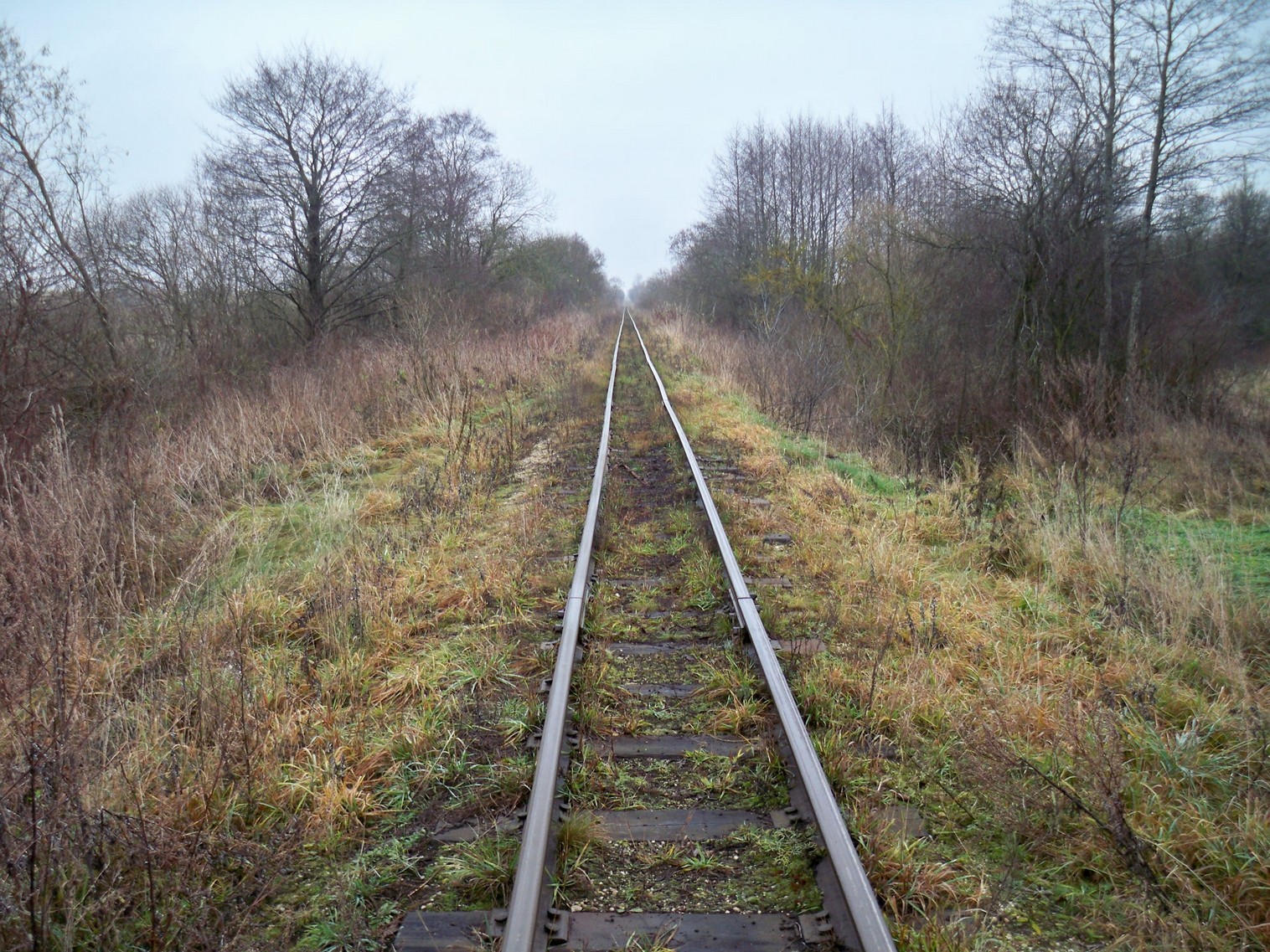 Узкоколейная железная дорога Ошмянского торфопредприятия 
  —  фотографии, сделанные в 2012 году (часть 4)