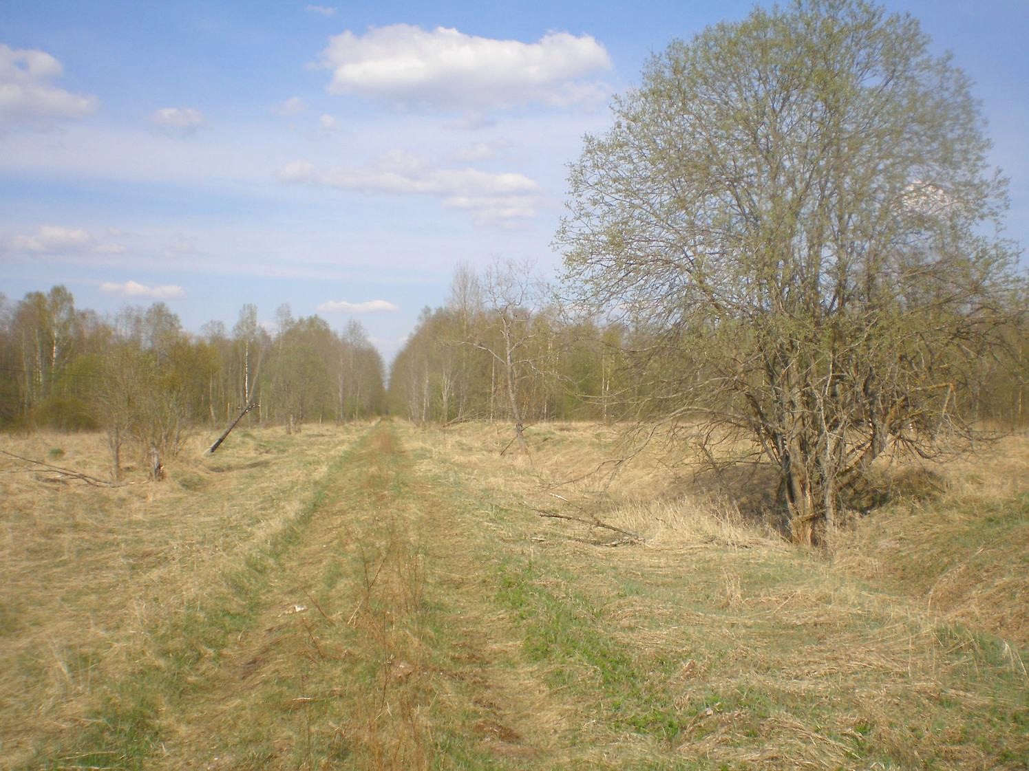 Узкоколейная железная дорога Тёсовского транспортного управления  —  фотографии, сделанные в 2008 году (часть 4)