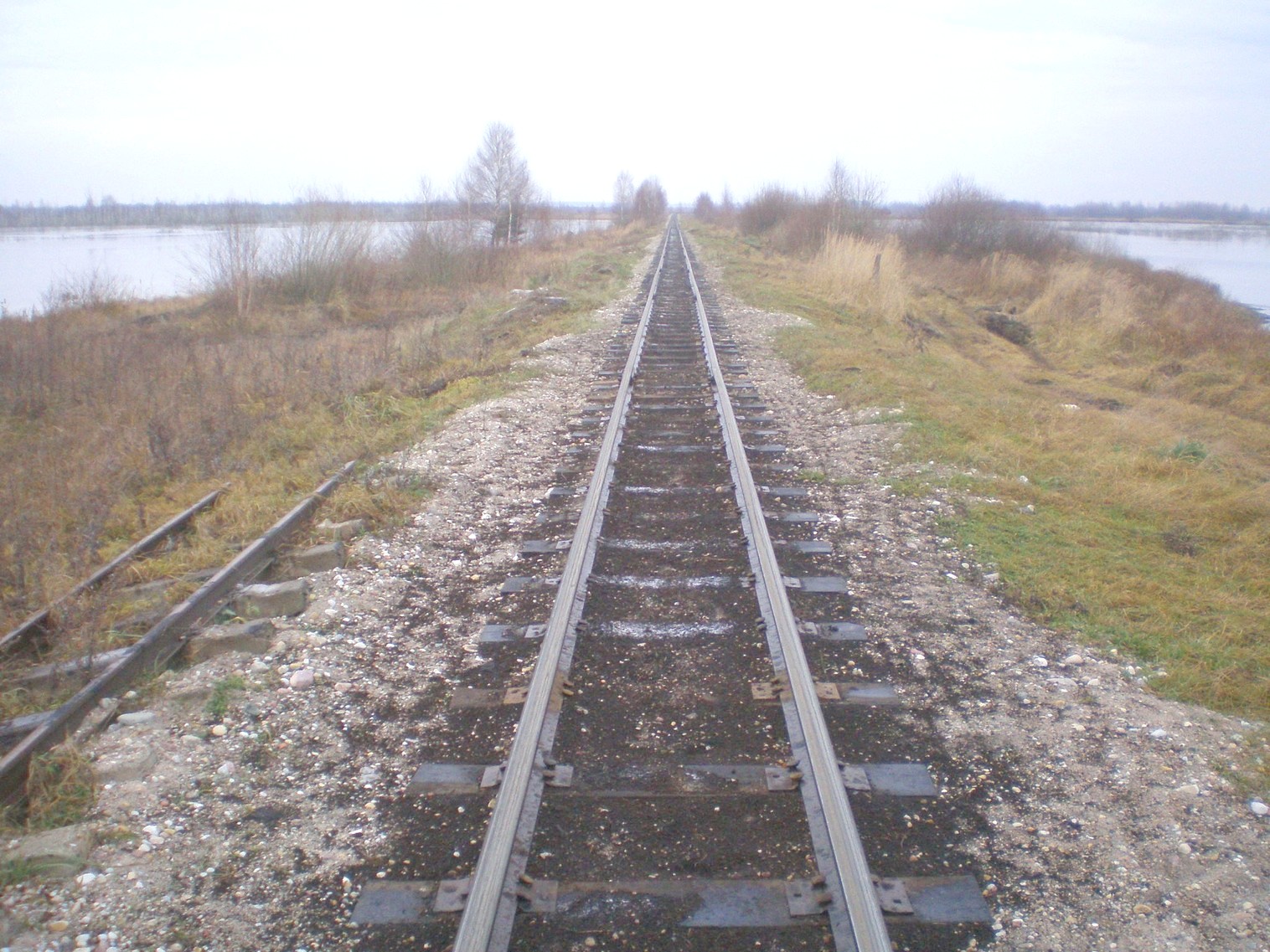 Узкоколейная  железная дорога Лидского торфопредприятия   —  фотографии, сделанные в 2008 году (часть 8)