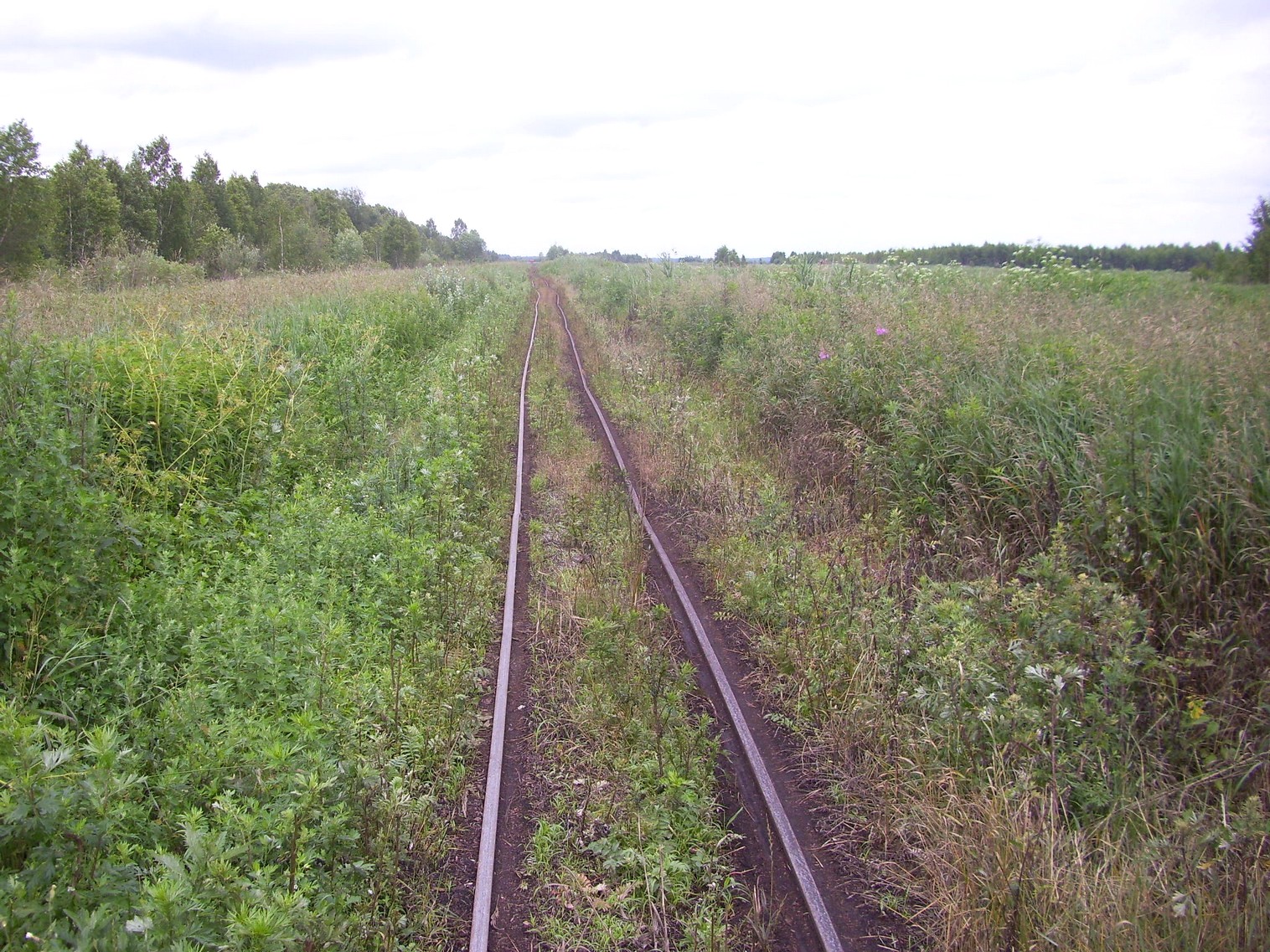 Узкоколейная  железная дорога Нёманского торфопредприятия  —  фотографии, сделанные в 2011 году (часть 3)