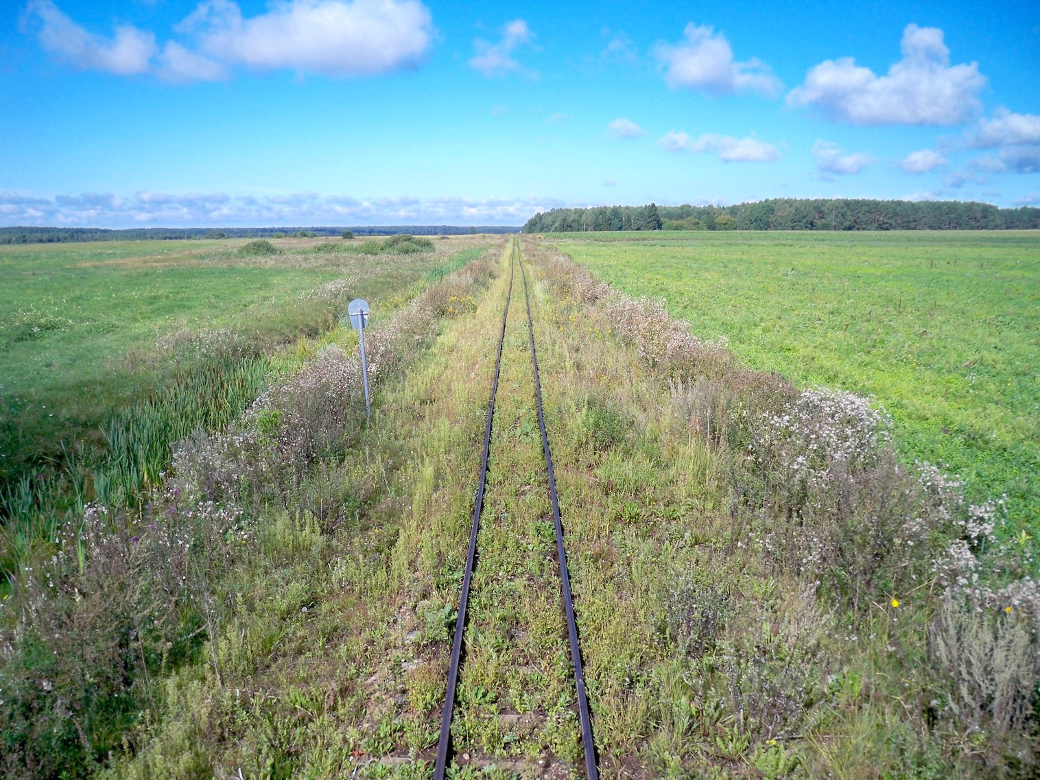 Узкоколейная  железная дорога Нёманского торфопредприятия  —  фотографии, сделанные в 2013 году (часть 7)