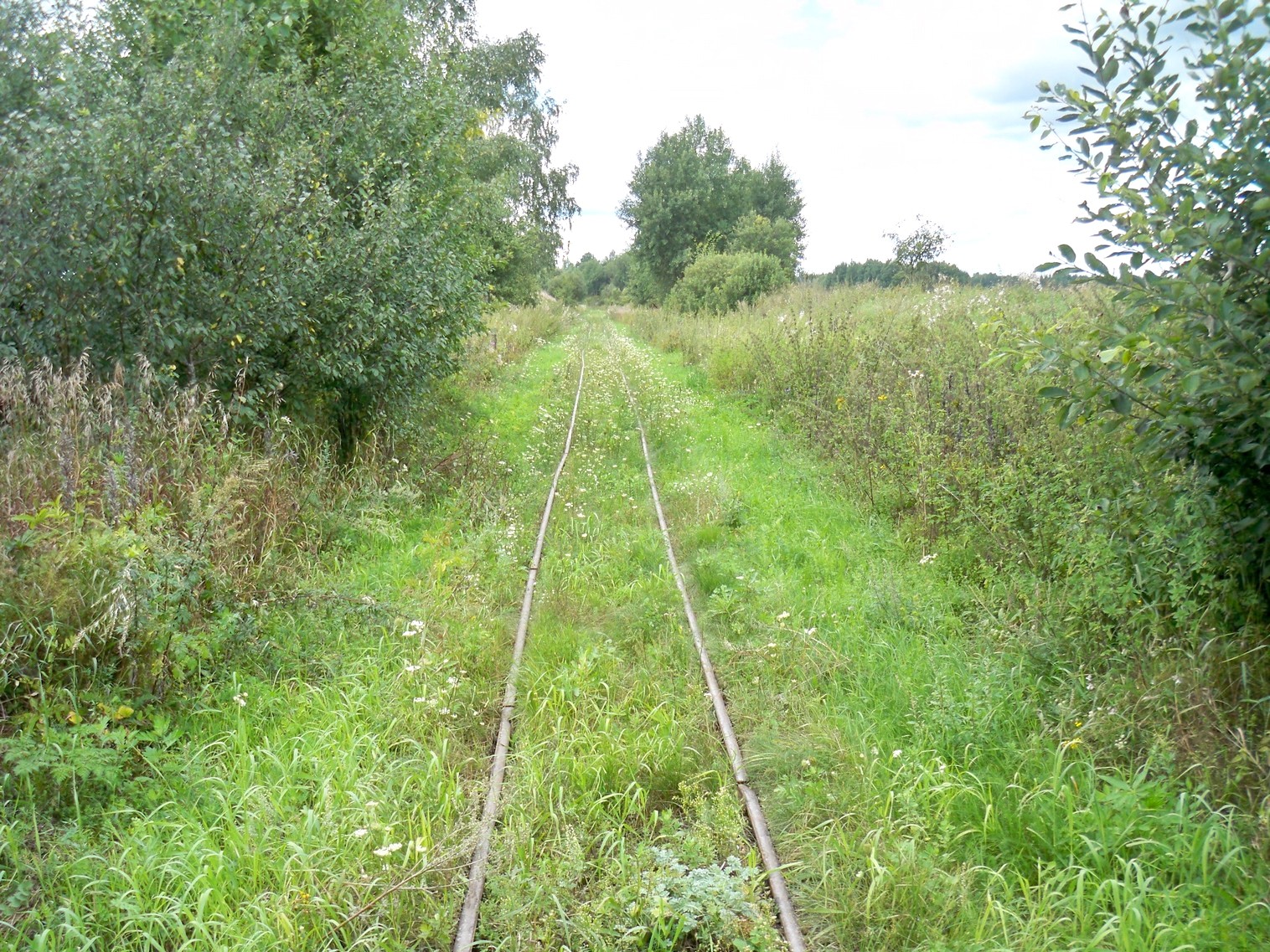 Узкоколейная  железная дорога Нёманского торфопредприятия  —  фотографии, сделанные в 2013 году (часть 12)