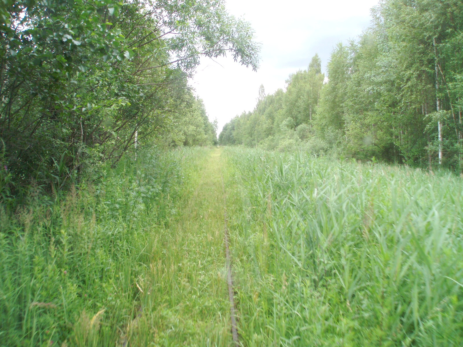 Узкоколейная железная дорога торфопредприятия «Полистовское-1»  — фотографии, сделанные в 2007 году (часть 5)