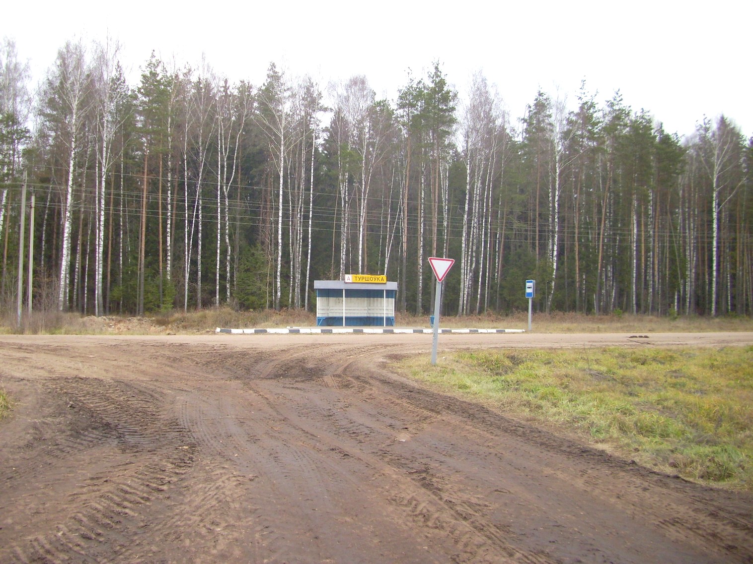 Узкоколейная  железная дорога торфопредприятия «Туршовка» —  фотографии, сделанные в 2011 году (часть 12)